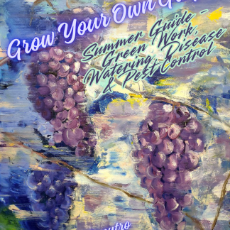 THIS VERSION AVAILABLE ONLY IN AMAZON   Grow Your Own Grapes | Summer Guide – Green Work, Watering, Disease & Pest Control | PDF + EPUB e-Book